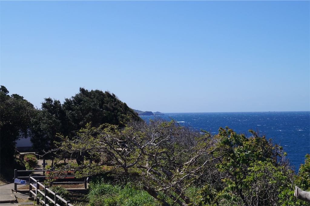 f:id:honeyhornet:20230408183133j:image f:id:honeyhornet:20230408183133j:image