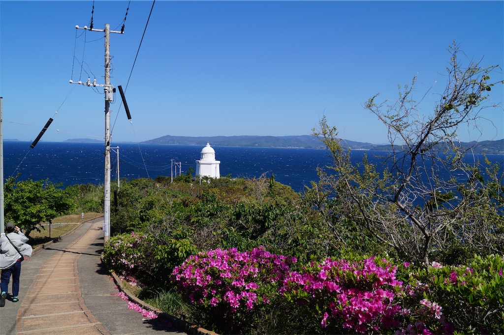 f:id:honeyhornet:20230408183147j:image f:id:honeyhornet:20230408183147j:image