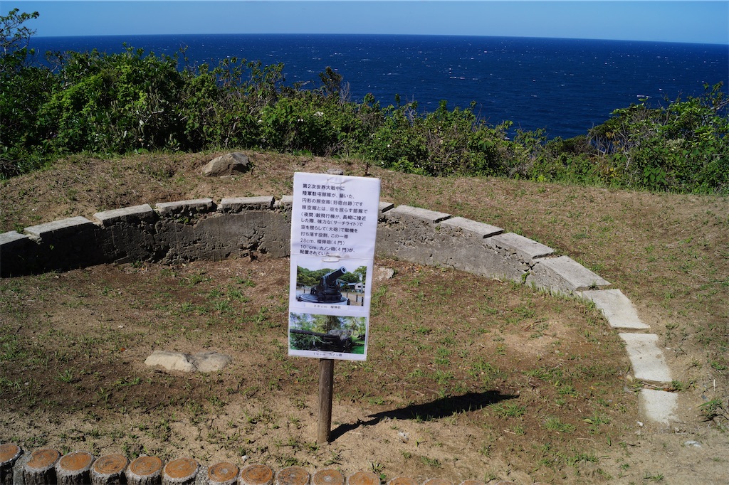 f:id:honeyhornet:20230408183206j:image f:id:honeyhornet:20230408183206j:image