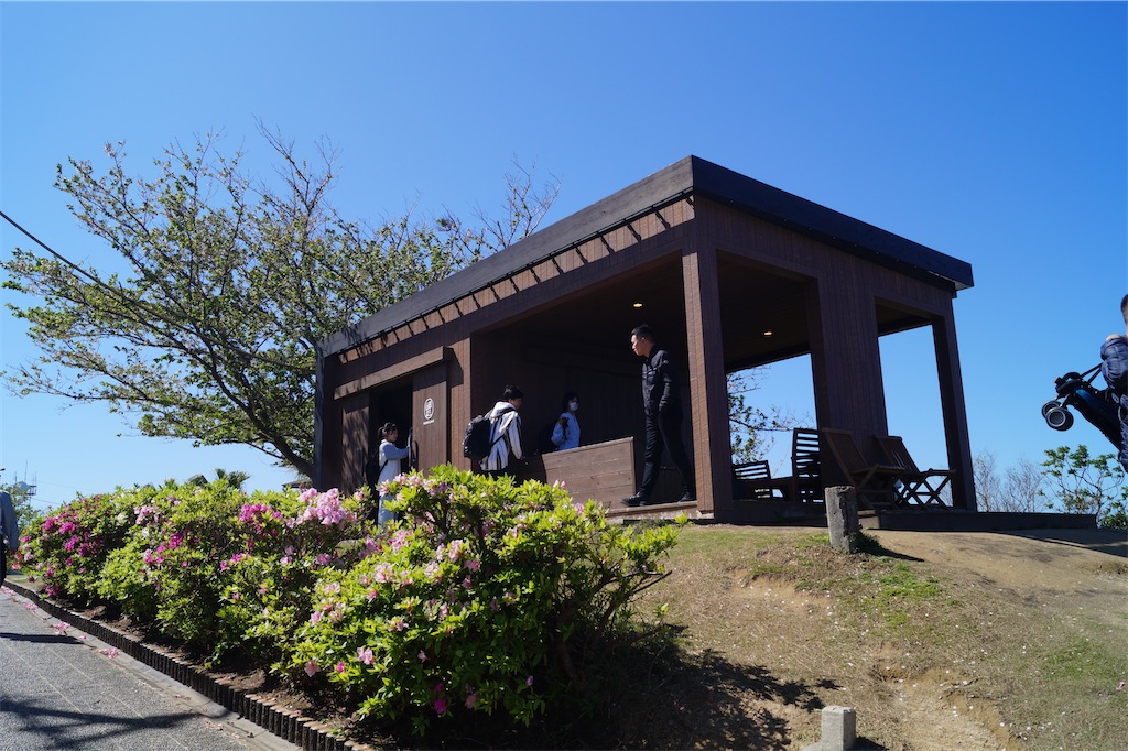 f:id:honeyhornet:20230408183211j:image f:id:honeyhornet:20230408183211j:image