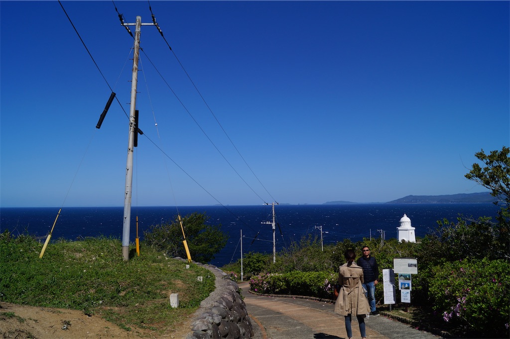 f:id:honeyhornet:20230408183229j:image f:id:honeyhornet:20230408183229j:image