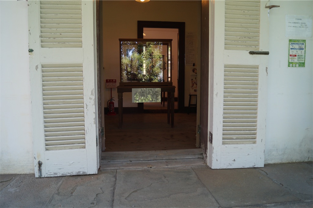 f:id:honeyhornet:20230408183309j:image f:id:honeyhornet:20230408183309j:image