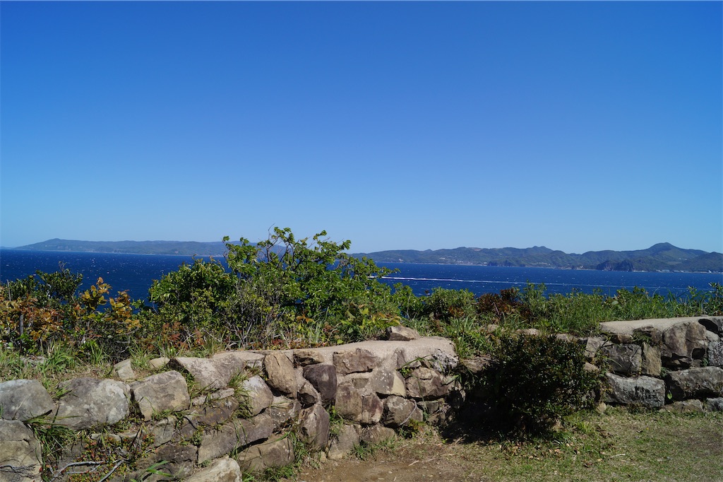 f:id:honeyhornet:20230408183313j:image f:id:honeyhornet:20230408183313j:image