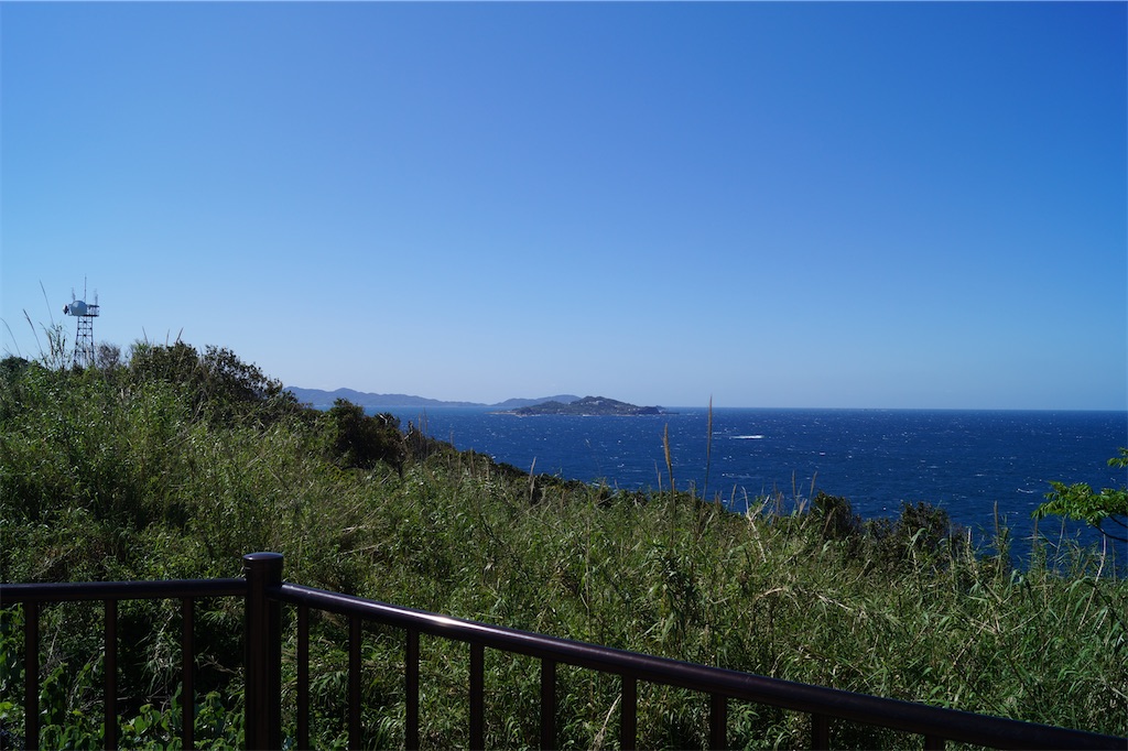 f:id:honeyhornet:20230408183339j:image f:id:honeyhornet:20230408183339j:image