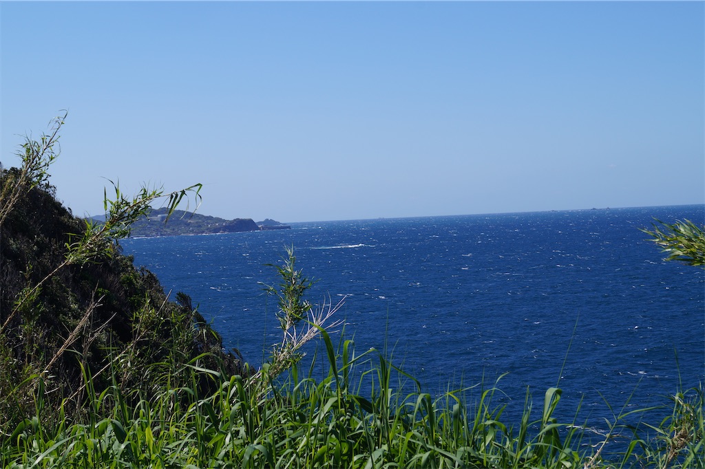 f:id:honeyhornet:20230408183343j:image f:id:honeyhornet:20230408183343j:image