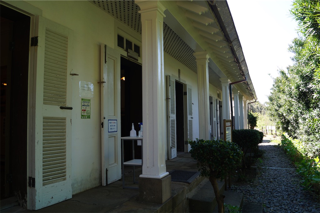 f:id:honeyhornet:20230408183400j:image f:id:honeyhornet:20230408183400j:image