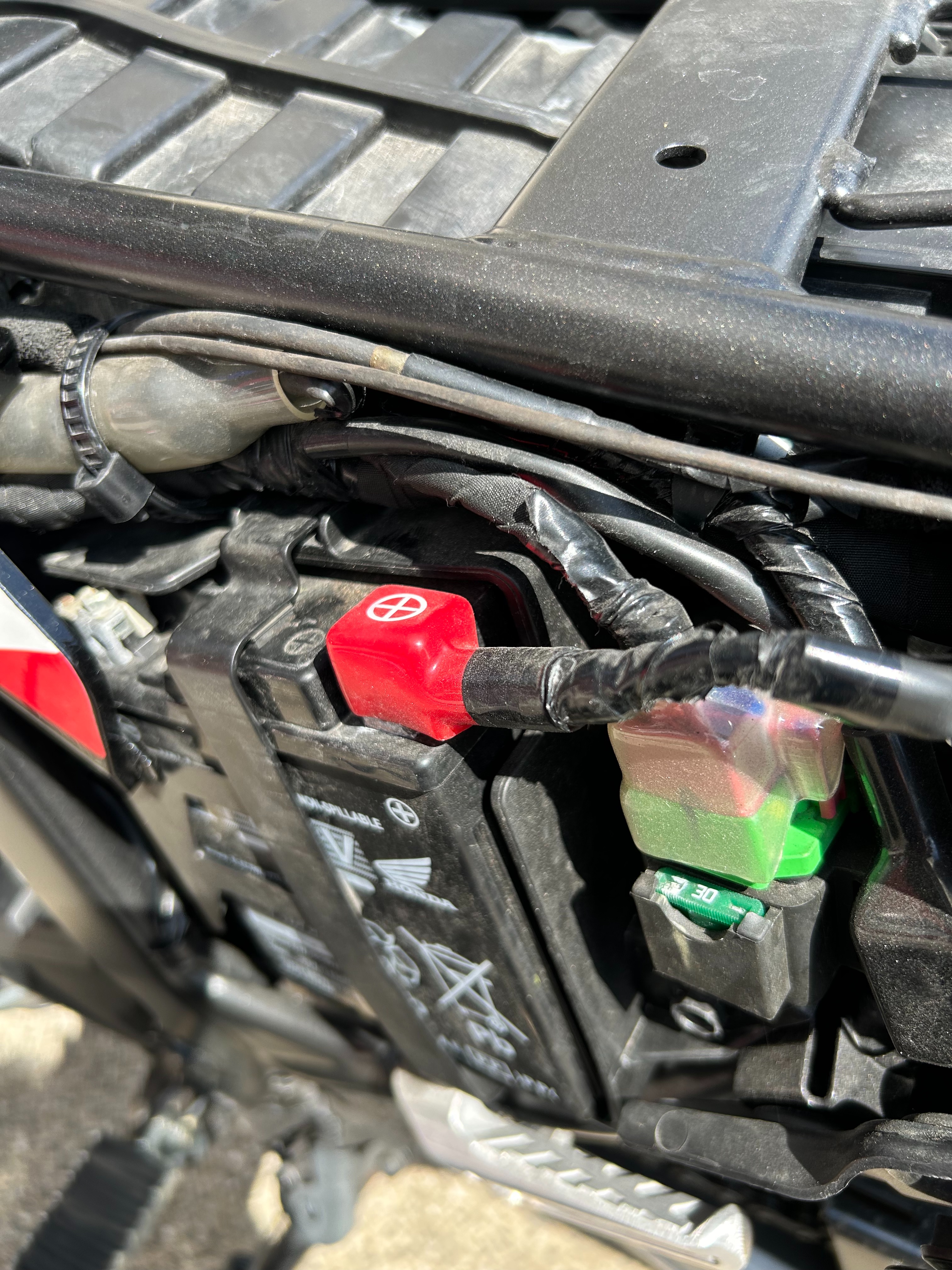 f:id:honeyhornet:20240320161915j:image f:id:honeyhornet:20240320161915j:image