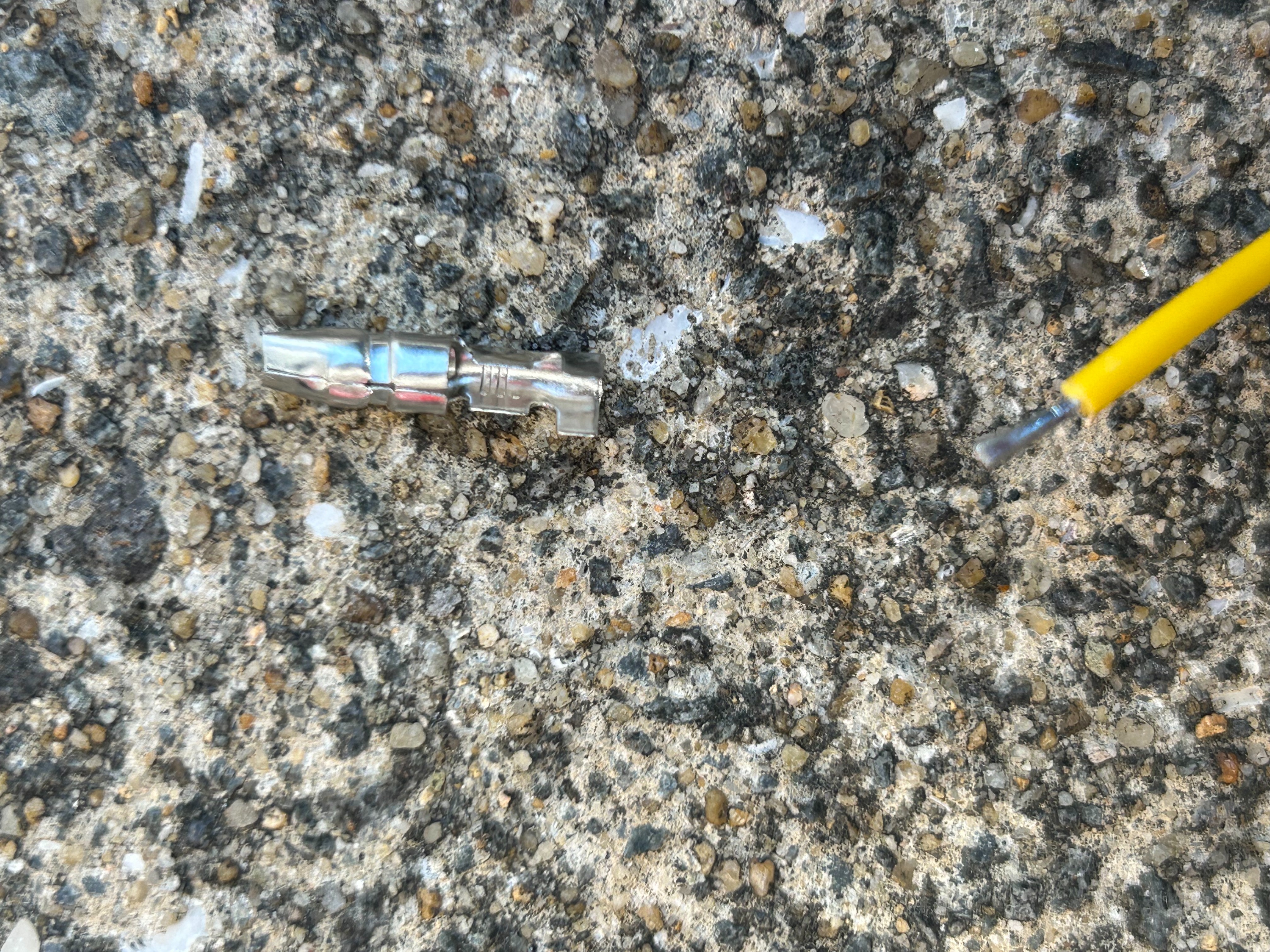 f:id:honeyhornet:20240320162150j:image