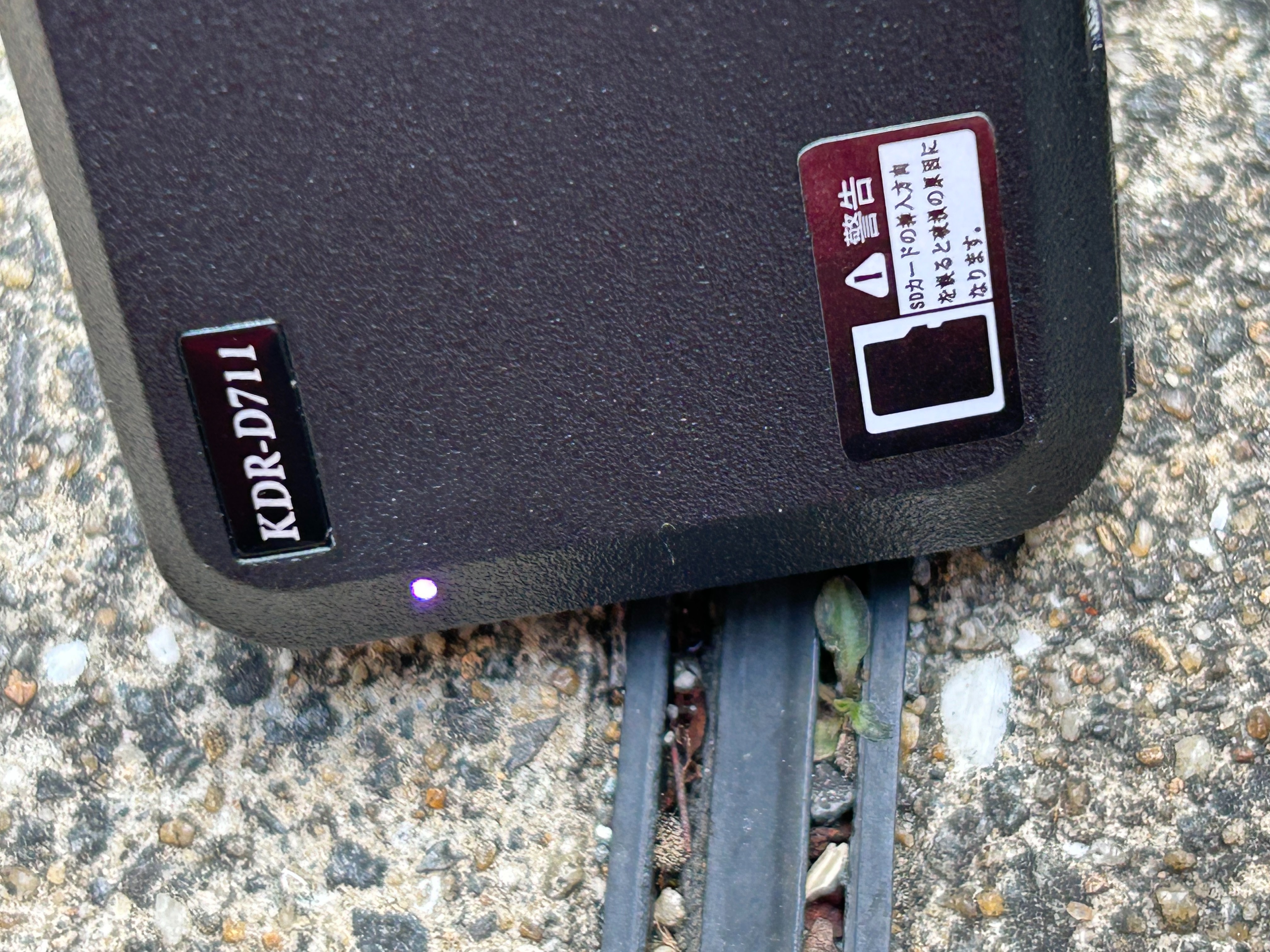 f:id:honeyhornet:20240320162300j:image f:id:honeyhornet:20240320162300j:image