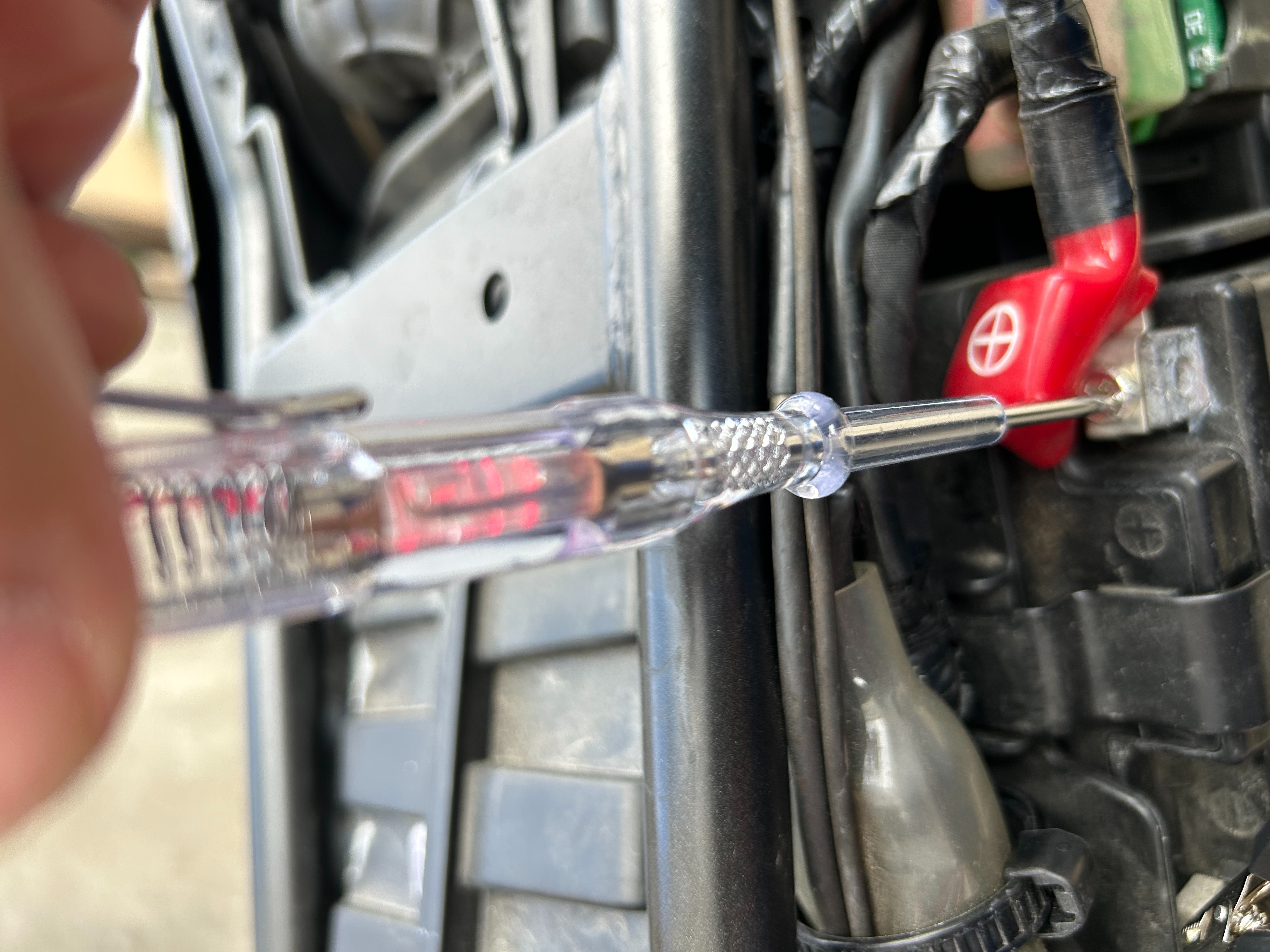 f:id:honeyhornet:20240320162410j:image f:id:honeyhornet:20240320162410j:image