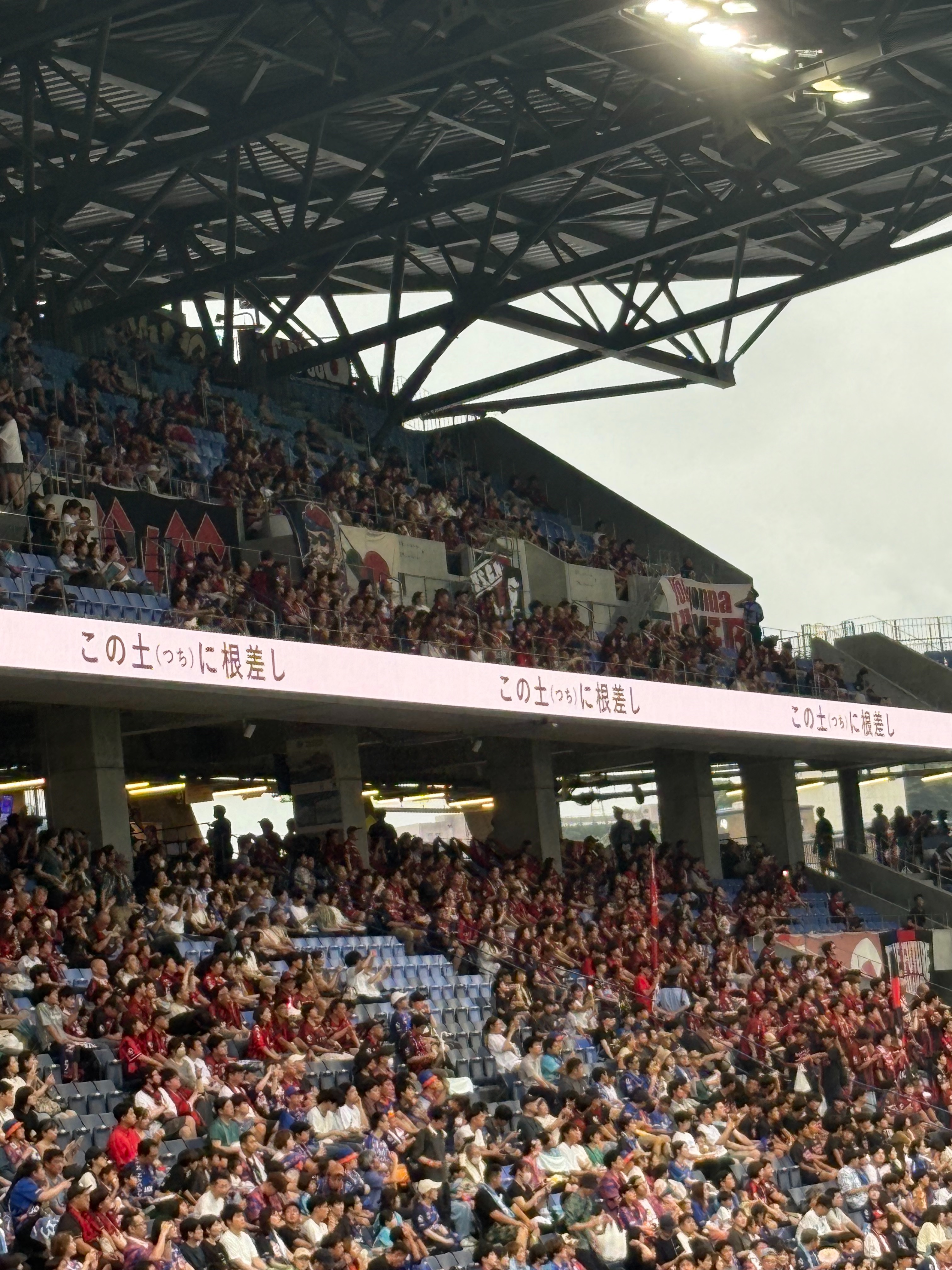 f:id:honeyhornet:20250810062238j:image