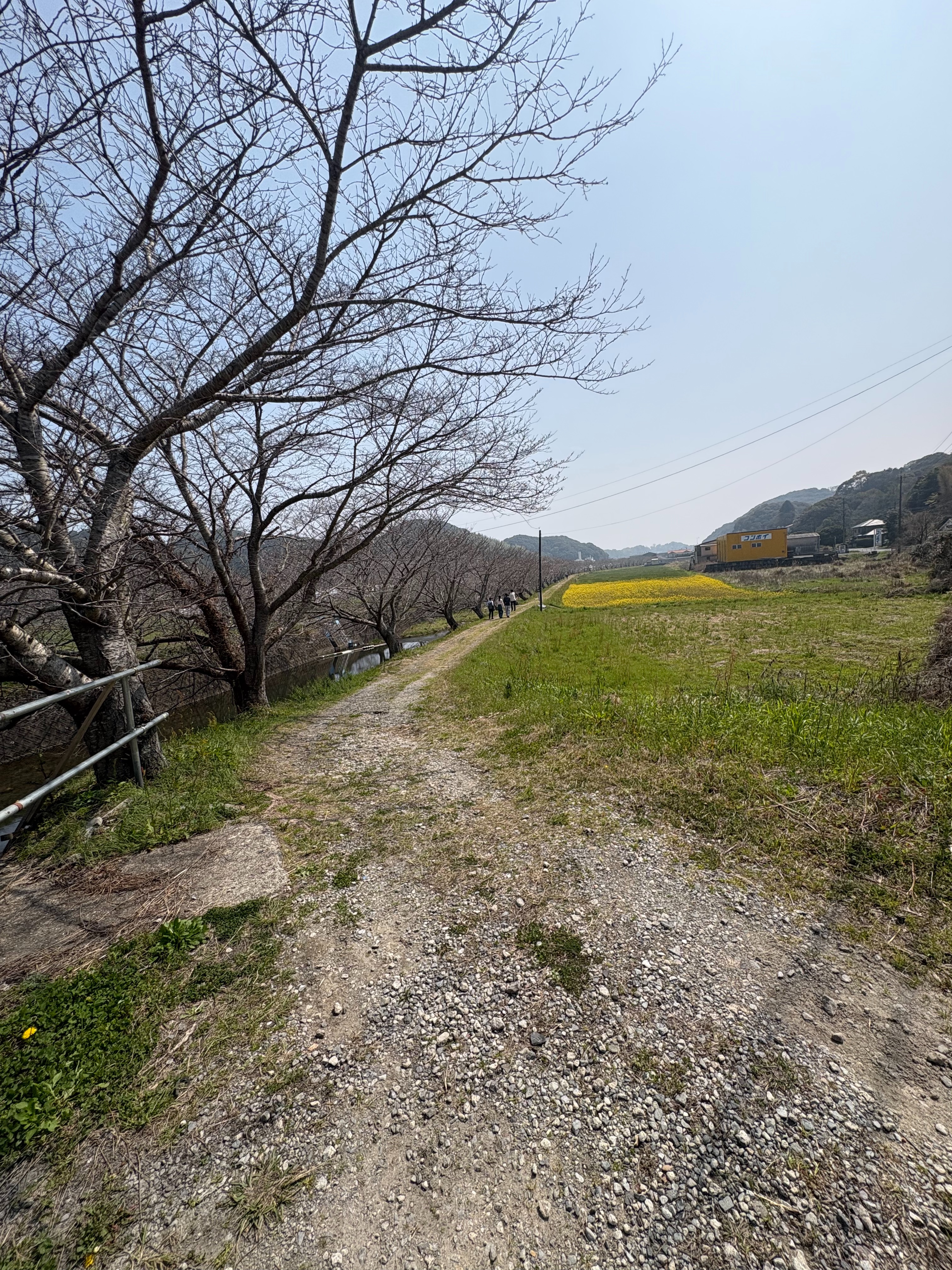 f:id:honeyhornet:20260329153712j:image