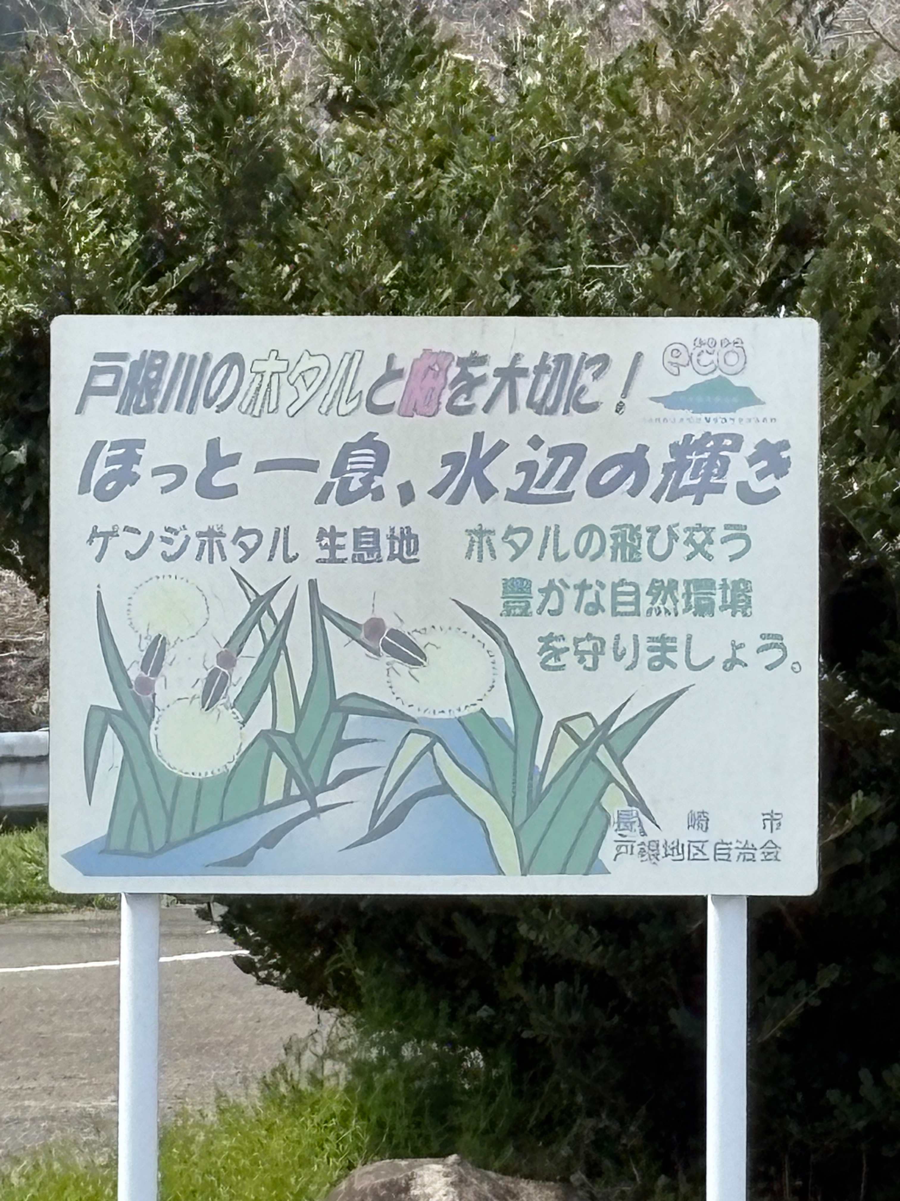 f:id:honeyhornet:20260329153728j:image
