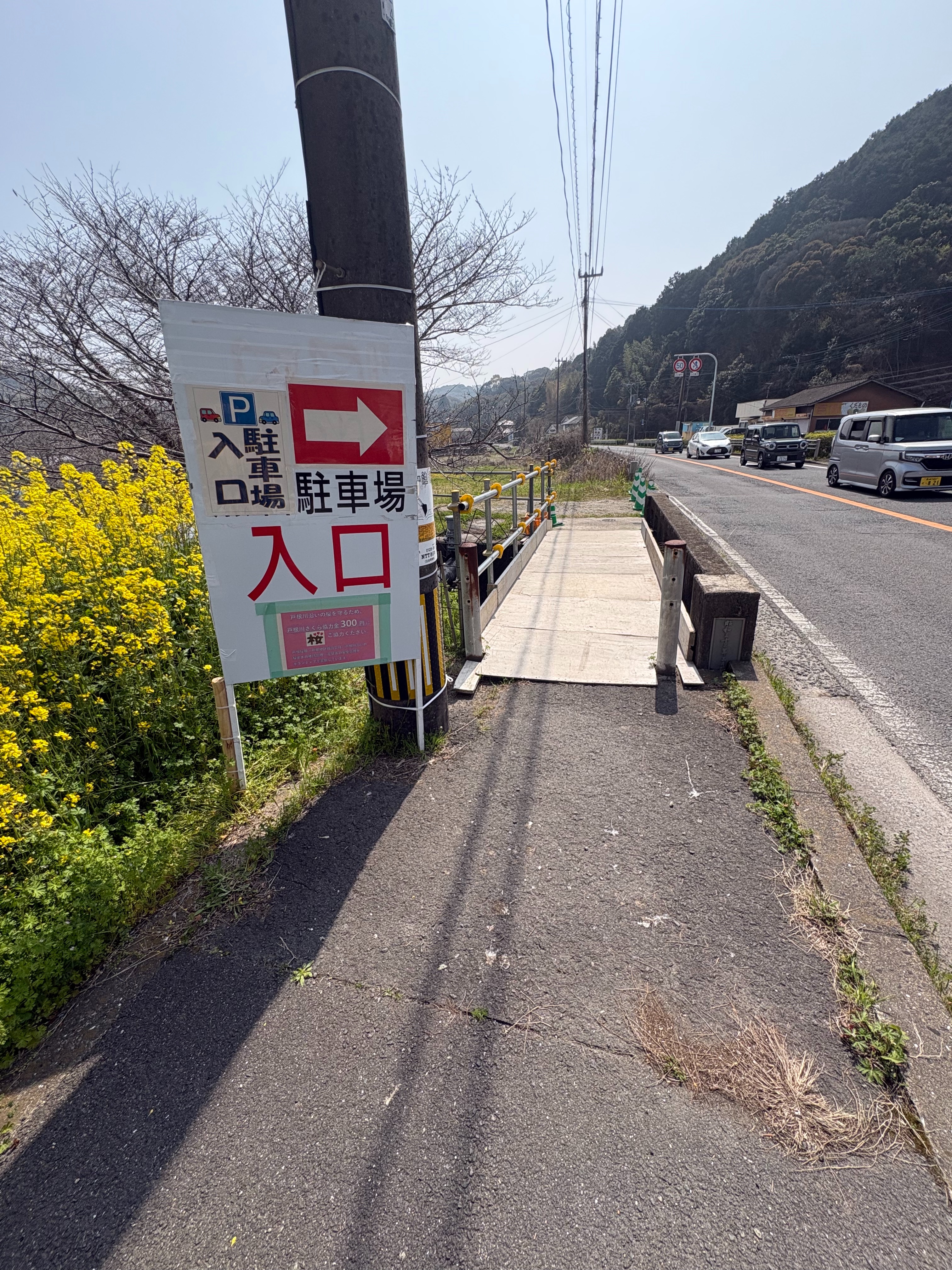 f:id:honeyhornet:20260329153737j:image