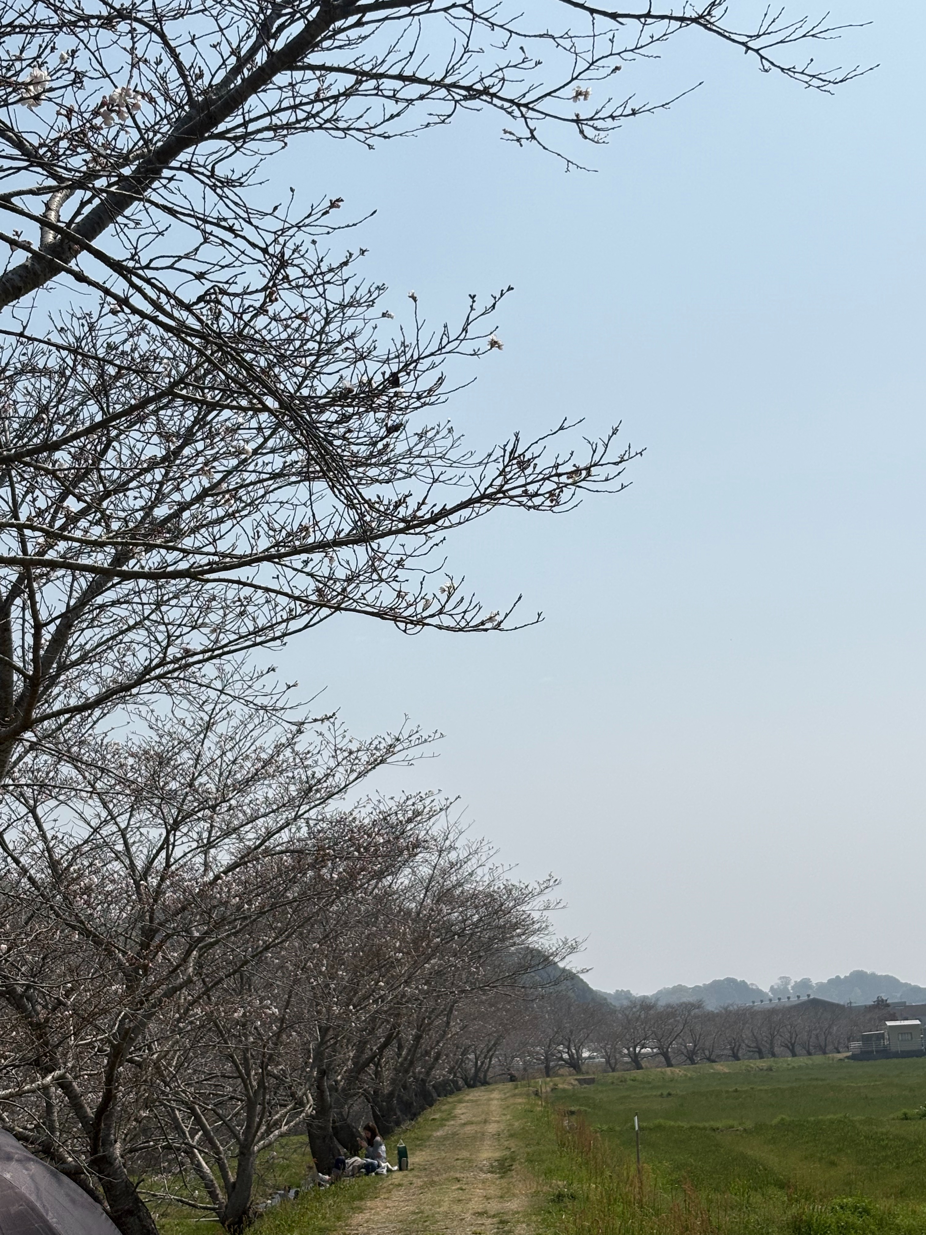 f:id:honeyhornet:20260329153747j:image