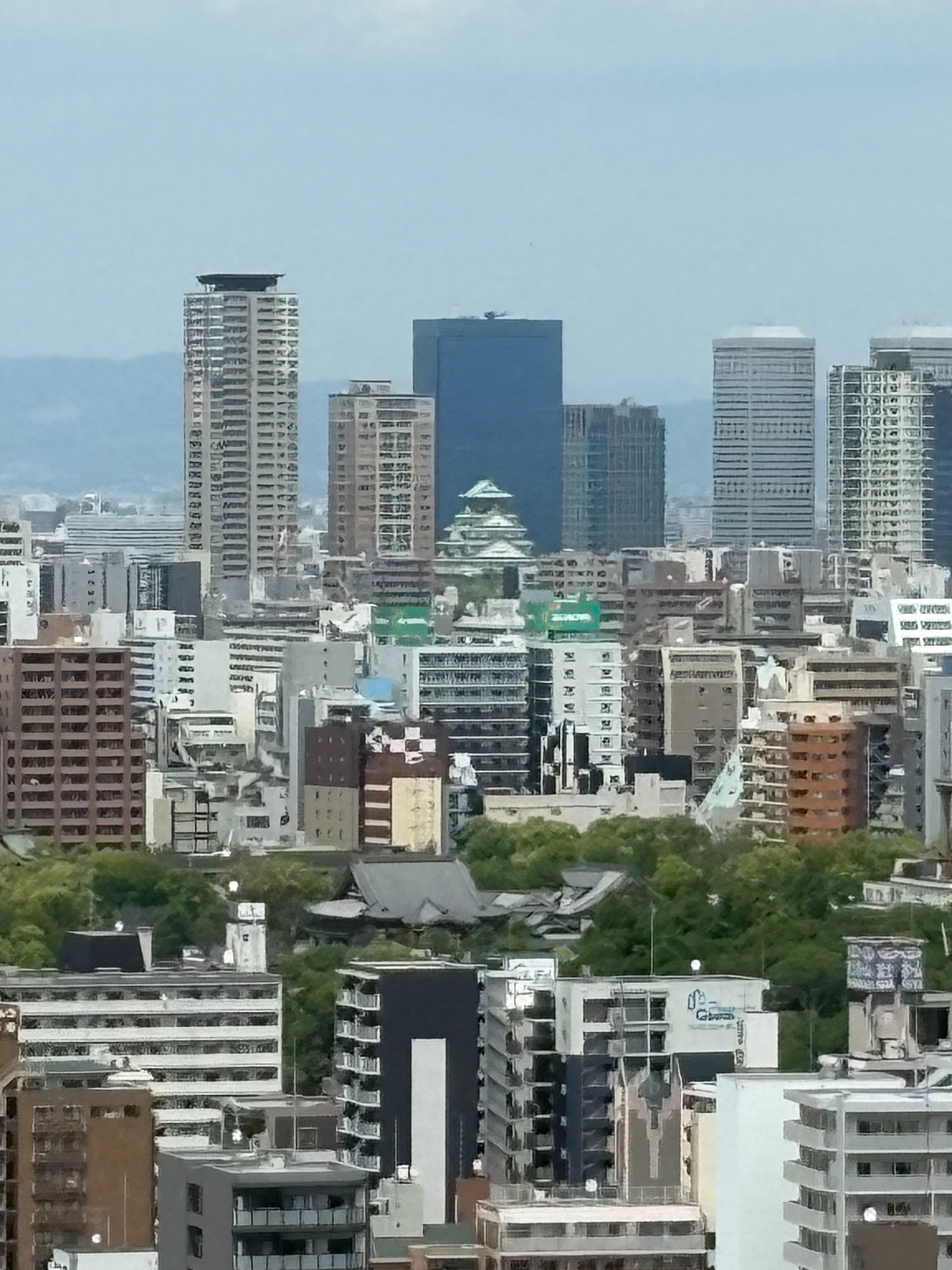 f:id:honeyhornet:20260427070118j:image