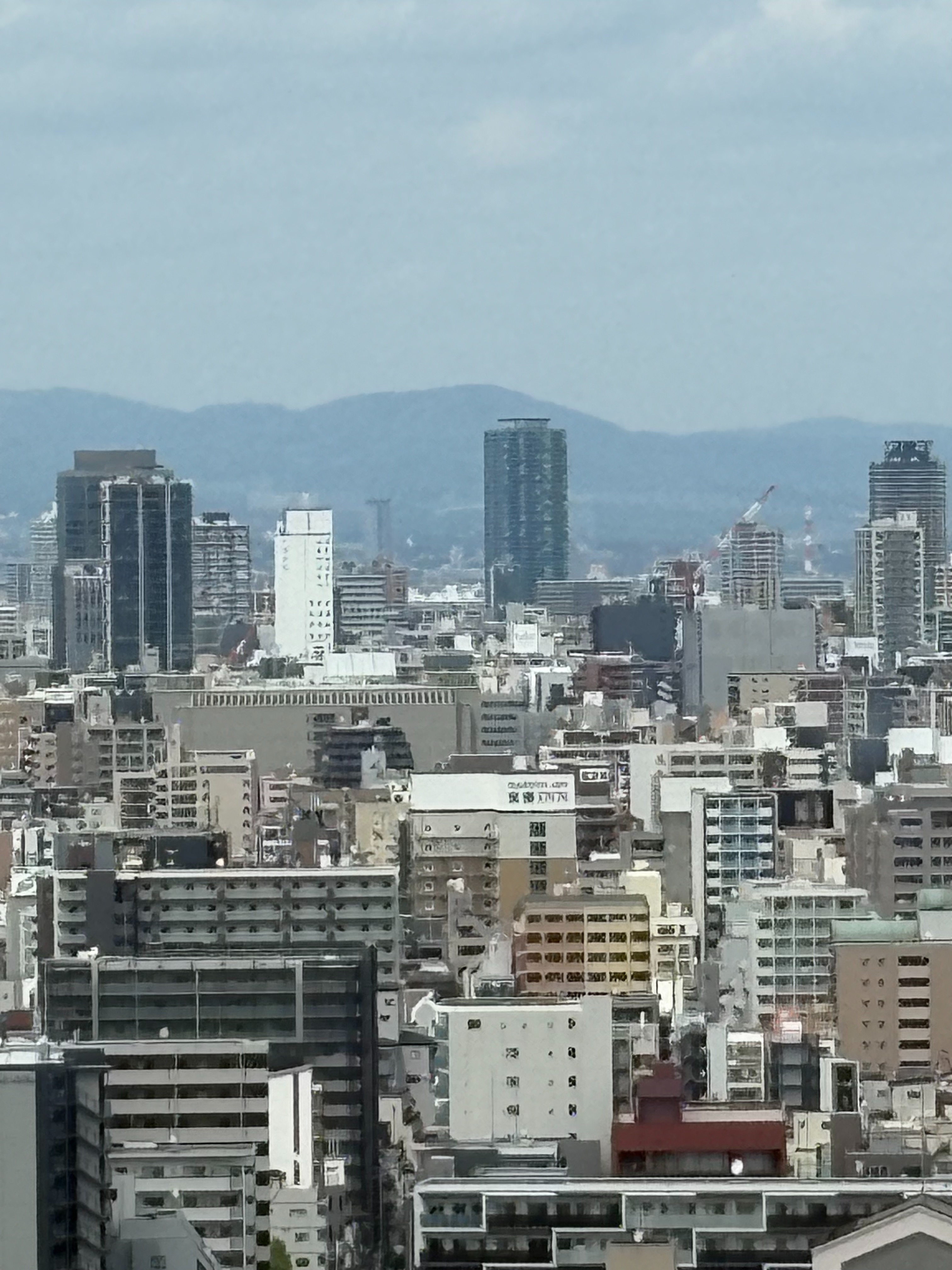 f:id:honeyhornet:20260427070124j:image