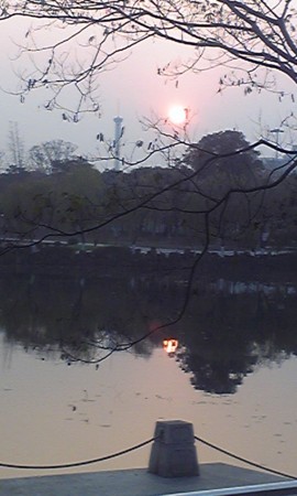 f:id:honeyrobin:20091126162713j:image