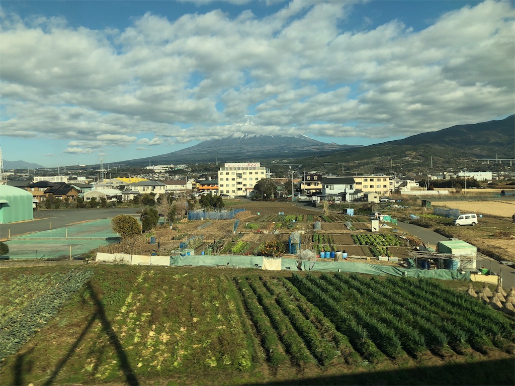f:id:honeysuckle01:20190505183053j:image f:id:honeysuckle01:20190505183053j:image