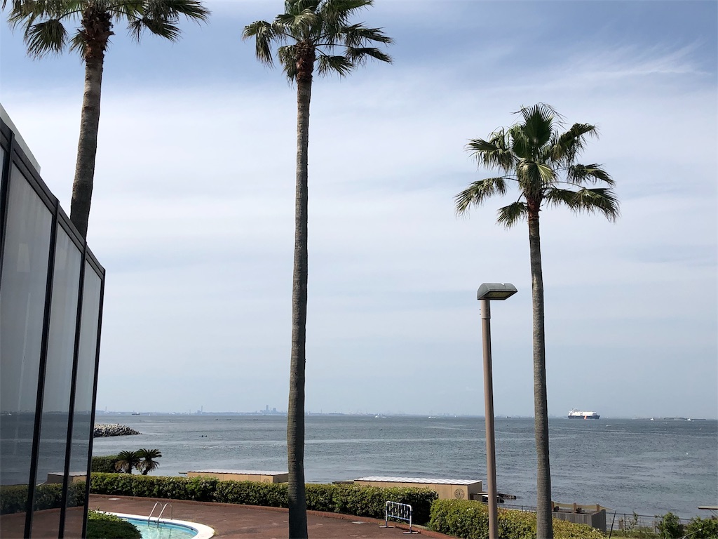 f:id:honeysuckle01:20190507073554j:image