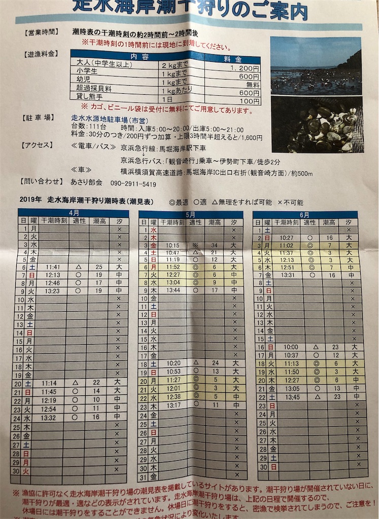 f:id:honeysuckle01:20190507084432j:image