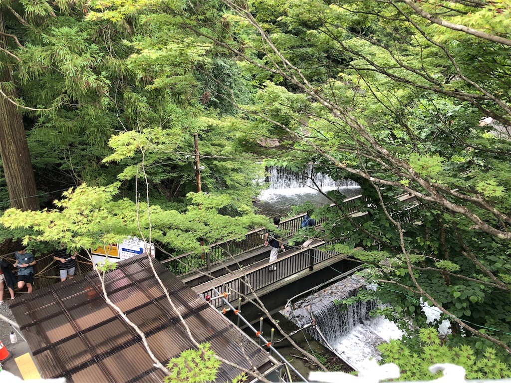 f:id:honeysuckle01:20190910081546j:image f:id:honeysuckle01:20190910081546j:image