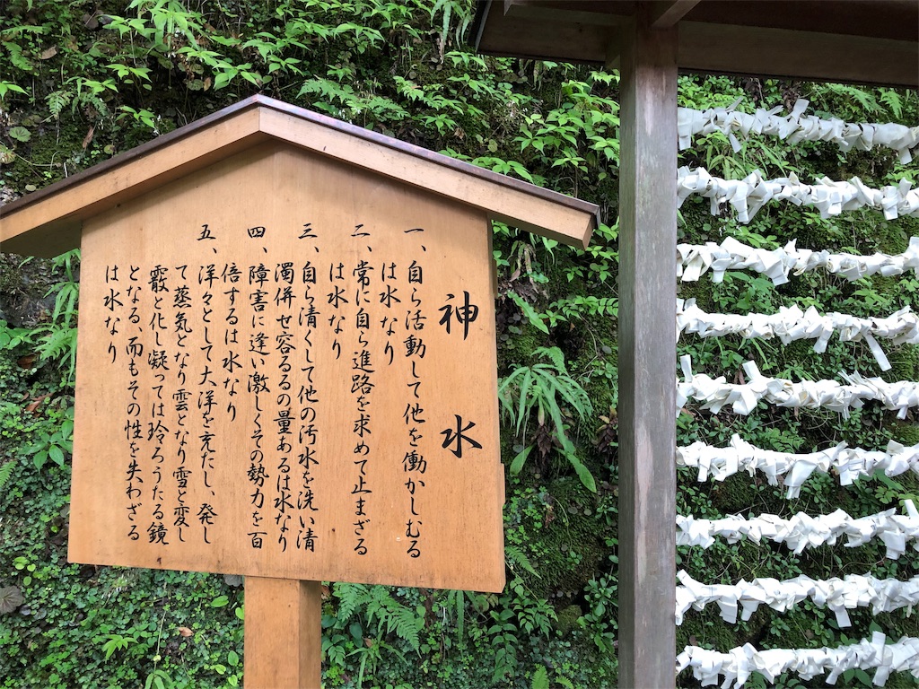 f:id:honeysuckle01:20190912181520j:image f:id:honeysuckle01:20190912181520j:image