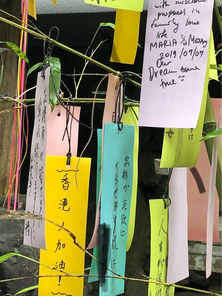 f:id:honeysuckle01:20190912181530j:image f:id:honeysuckle01:20190912181530j:image