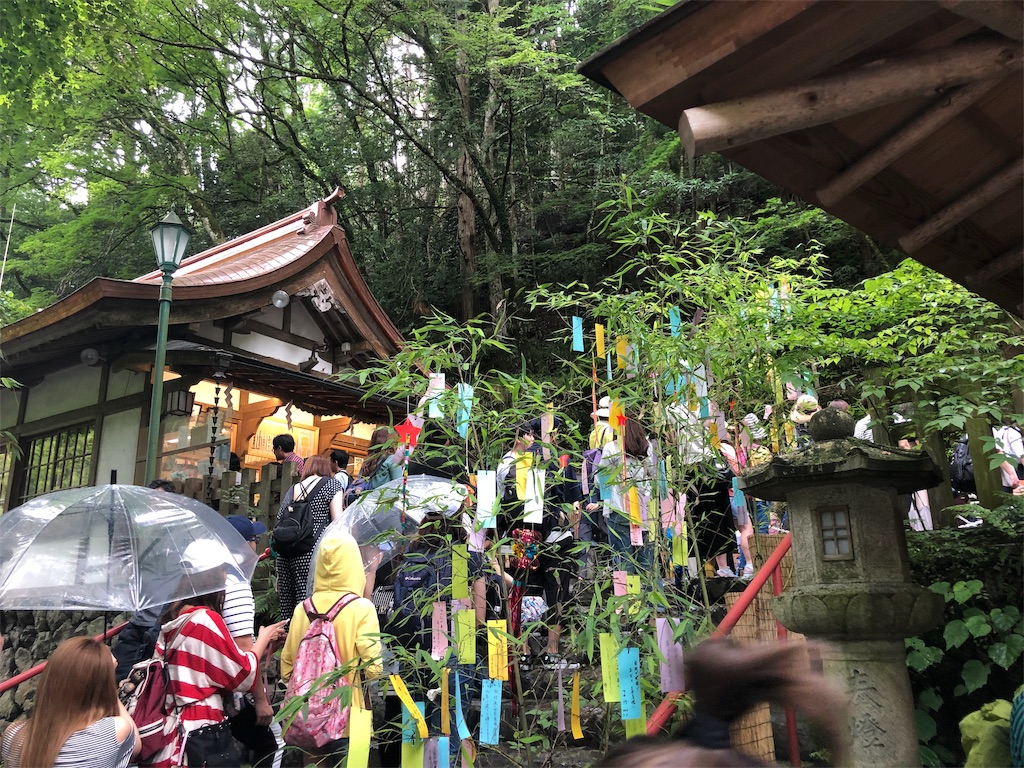 f:id:honeysuckle01:20190912181534j:image f:id:honeysuckle01:20190912181534j:image