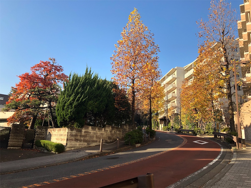 f:id:honeysuckle01:20191118165336j:image
