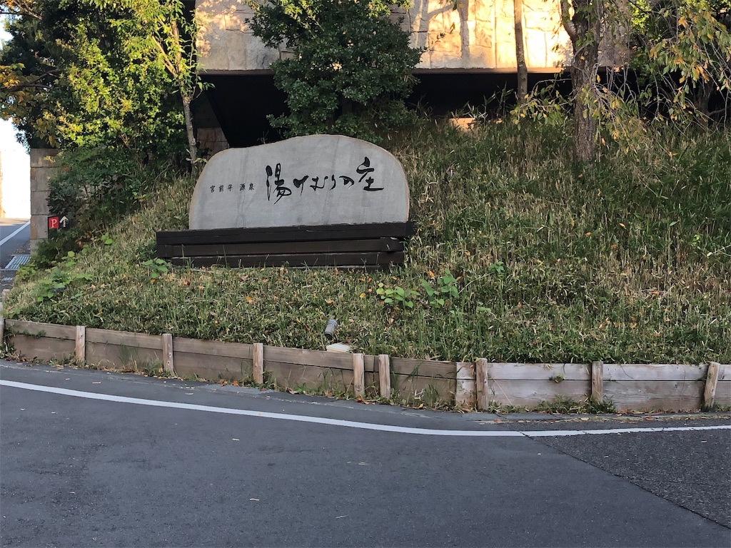 f:id:honeysuckle01:20191118165833j:image