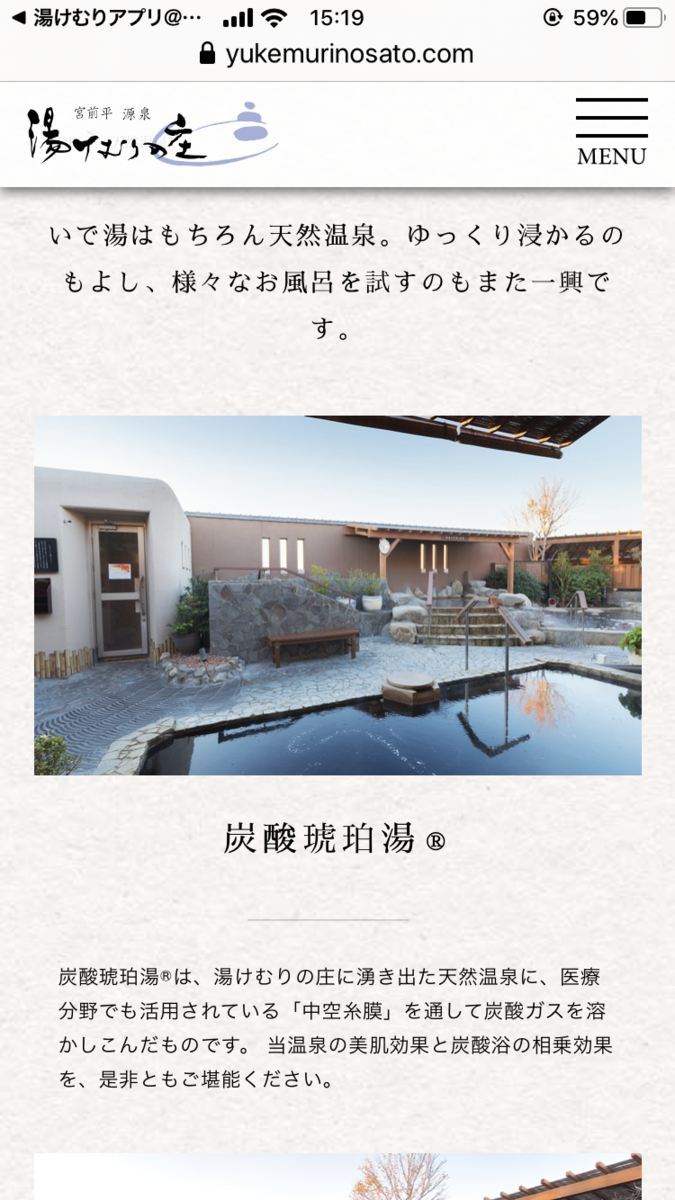f:id:honeysuckle01:20191118180033p:plain