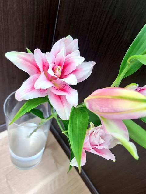 f:id:honeyyjp:20211228152156j:image f:id:honeyyjp:20211228152156j:image