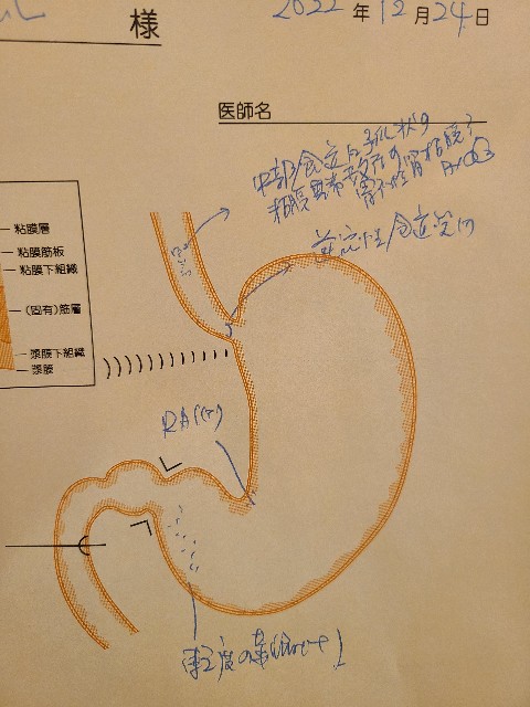 f:id:honeyyjp:20230101193242j:image f:id:honeyyjp:20230101193242j:image