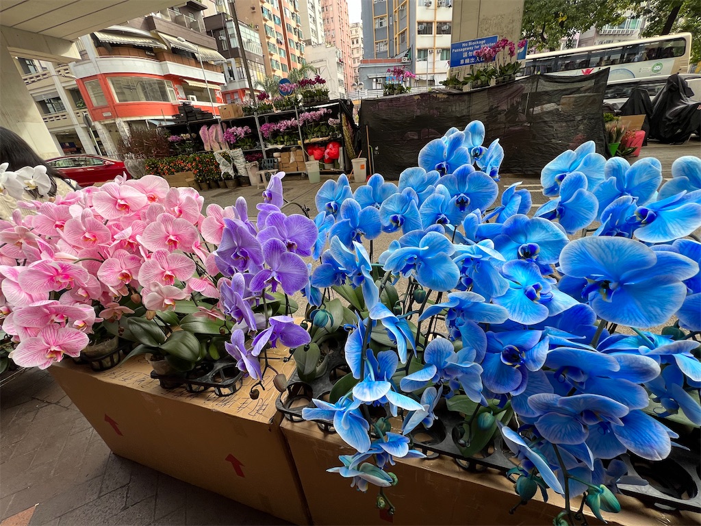 f:id:hongkong2019:20230108212929j:image