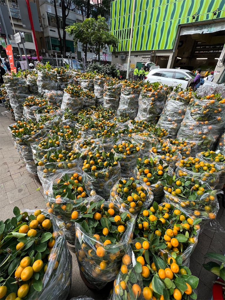 f:id:hongkong2019:20230108215905j:image