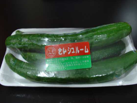 f:id:hongkonghongkong:20161223172706j:plain