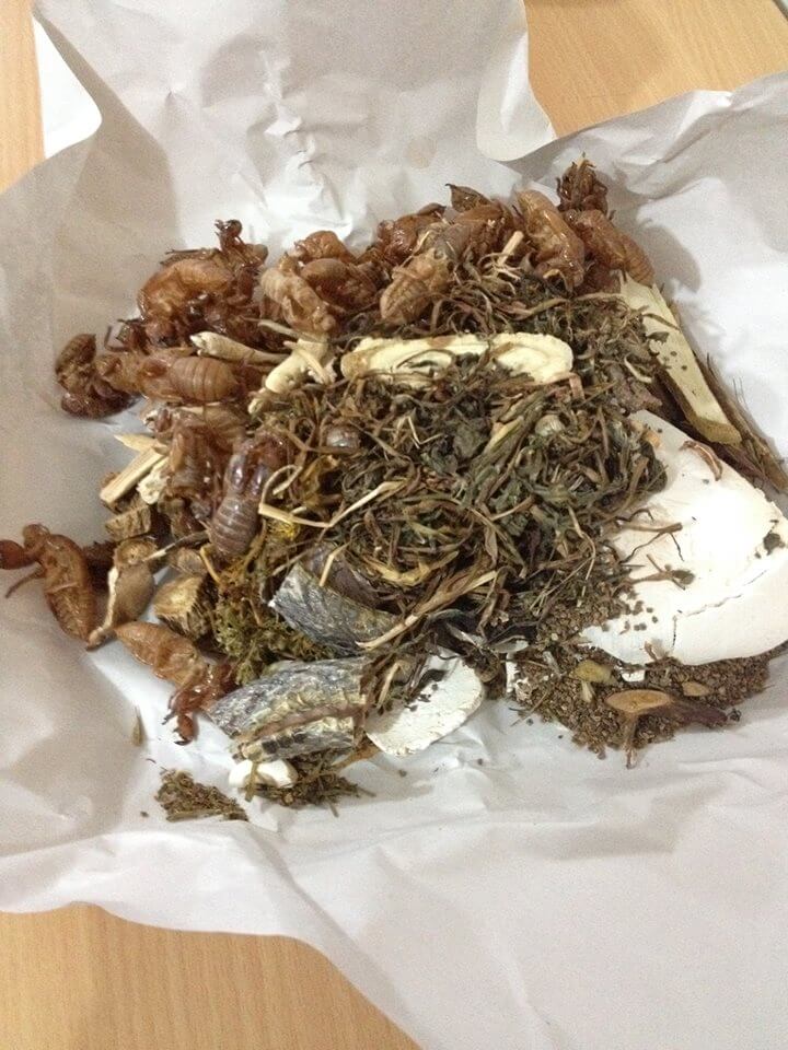 f:id:hongkonghongkong:20170224192631j:plain f:id:hongkonghongkong:20170224192631j:plain