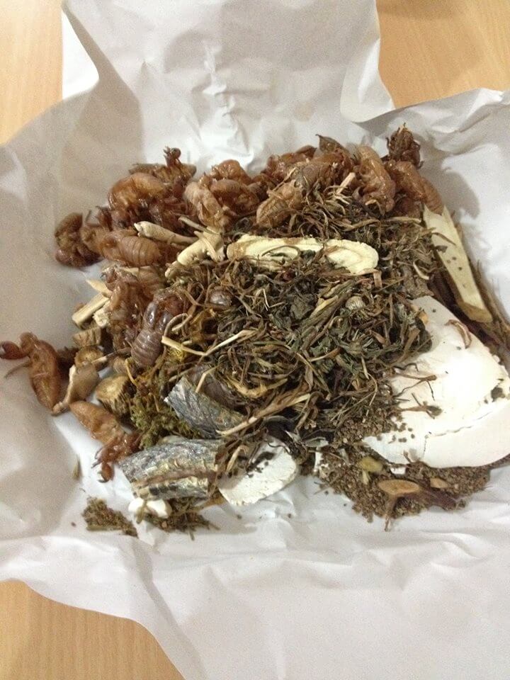 f:id:hongkonghongkong:20170224192633j:plain f:id:hongkonghongkong:20170224192633j:plain