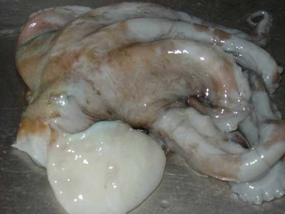 f:id:hongkonghongkong:20170318181953j:plain