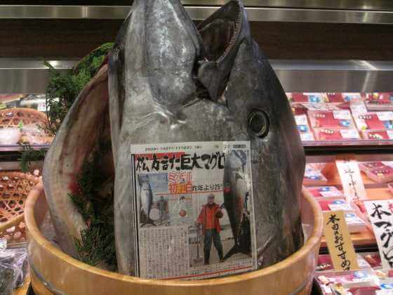 f:id:hongkonghongkong:20170923160243j:plain