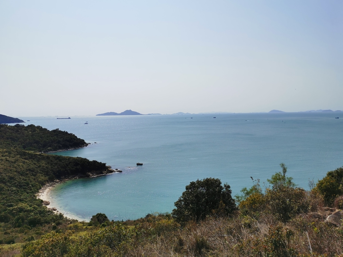f:id:hongkonghongkong:20200223115217j:plain f:id:hongkonghongkong:20200223115217j:plain