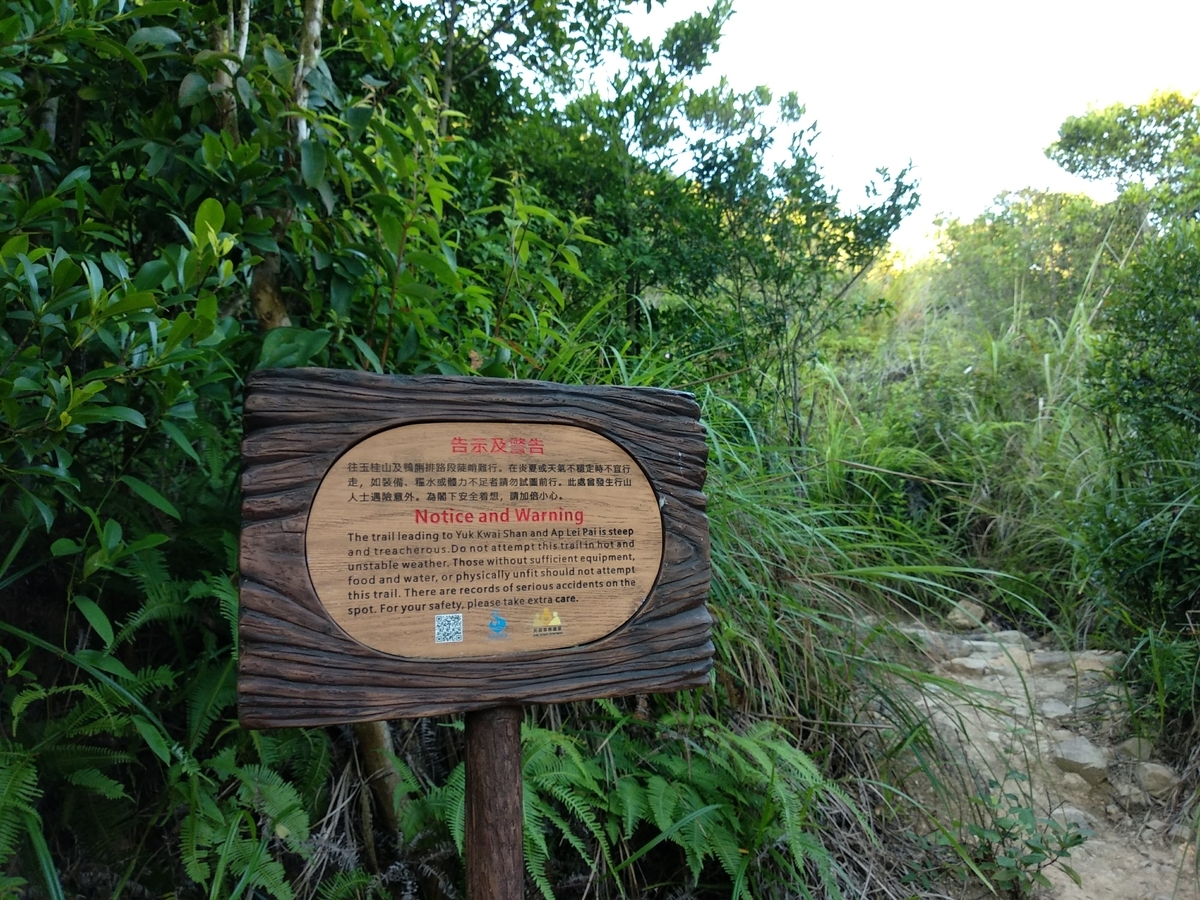 f:id:hongkonghongkong:20200730123958j:plain f:id:hongkonghongkong:20200730123958j:plain