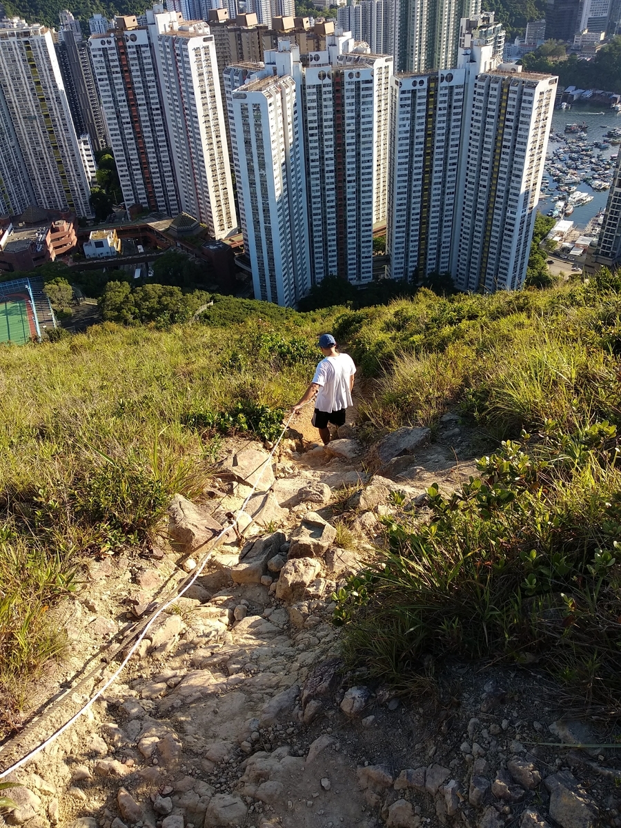 f:id:hongkonghongkong:20200730124215j:plain f:id:hongkonghongkong:20200730124215j:plain