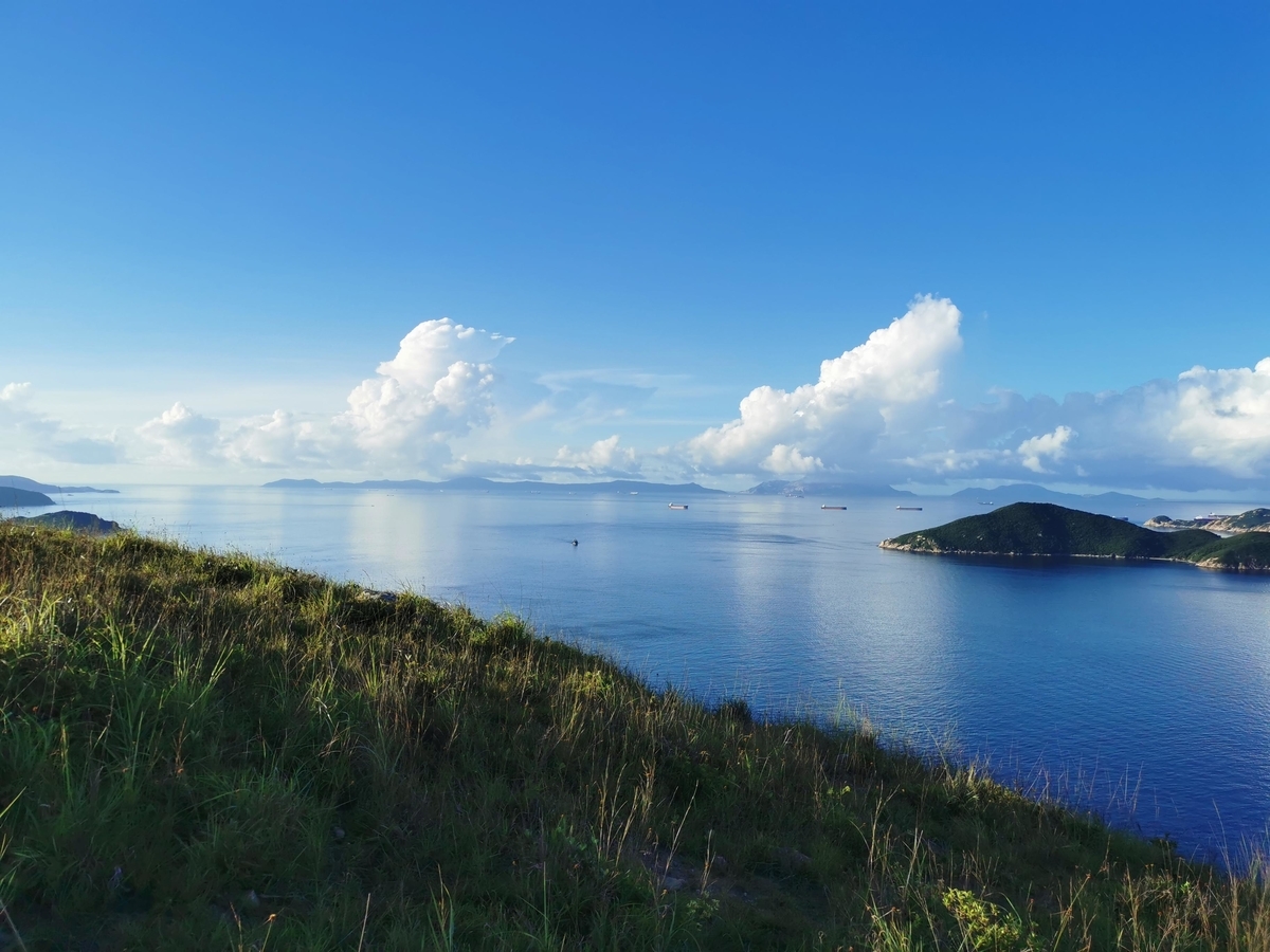 f:id:hongkonghongkong:20200730130515j:plain f:id:hongkonghongkong:20200730130515j:plain