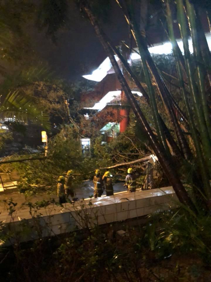 f:id:hongkongjapan:20181001185719j:plain f:id:hongkongjapan:20181001185719j:plain