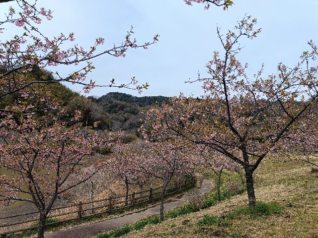 f:id:hongkongjapan:20250314174708j:image