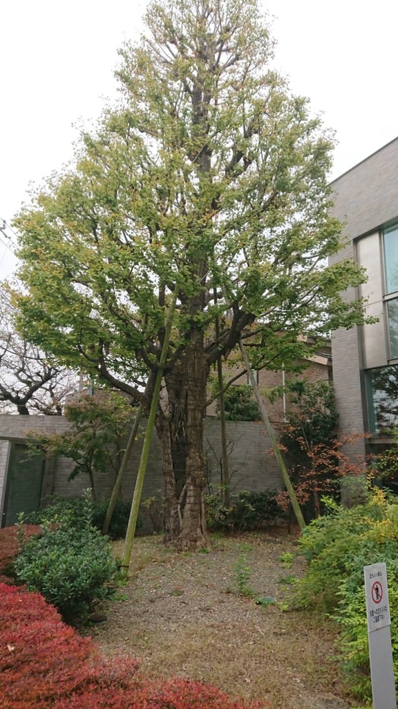 f:id:hongo-ueno-realestate:20181122184820j:plain f:id:hongo-ueno-realestate:20181122184820j:plain