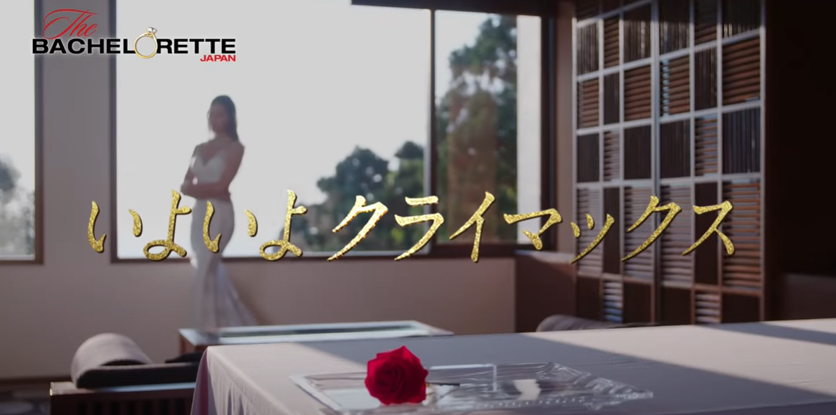 ネタバレあり 衝撃の結末 バチェロレッテ福田萌子とはなんだったのか 本能ブログ Honknowblog Com ネタバレあり 衝撃の結末 バチェロレッテ福田萌子とはなんだったのか 本能ブログ Honknowblog Com