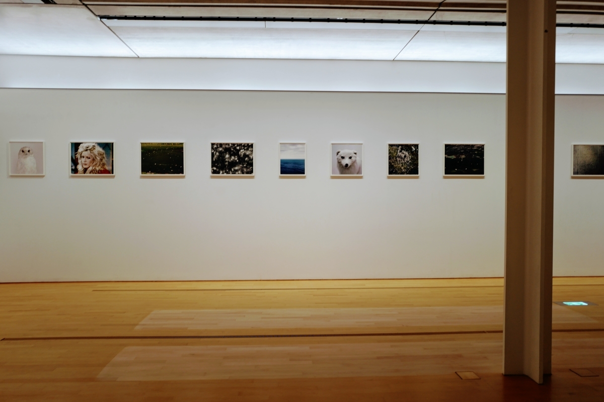 f:id:honknow:20211019110854j:plain